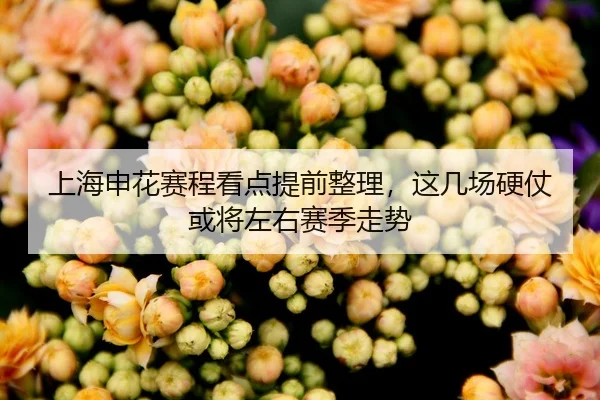 上海申花赛程看点提前整理，这几场硬仗或将左右赛季走势